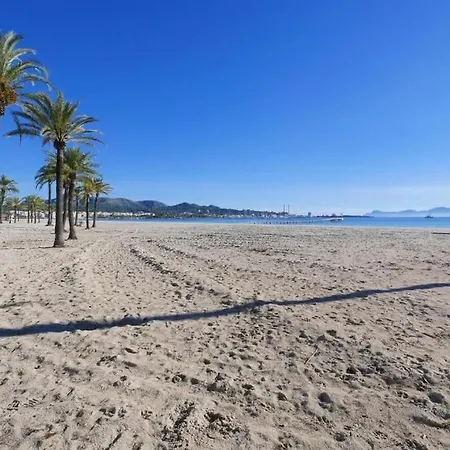 Luminoso * Alcudia (Mallorca)